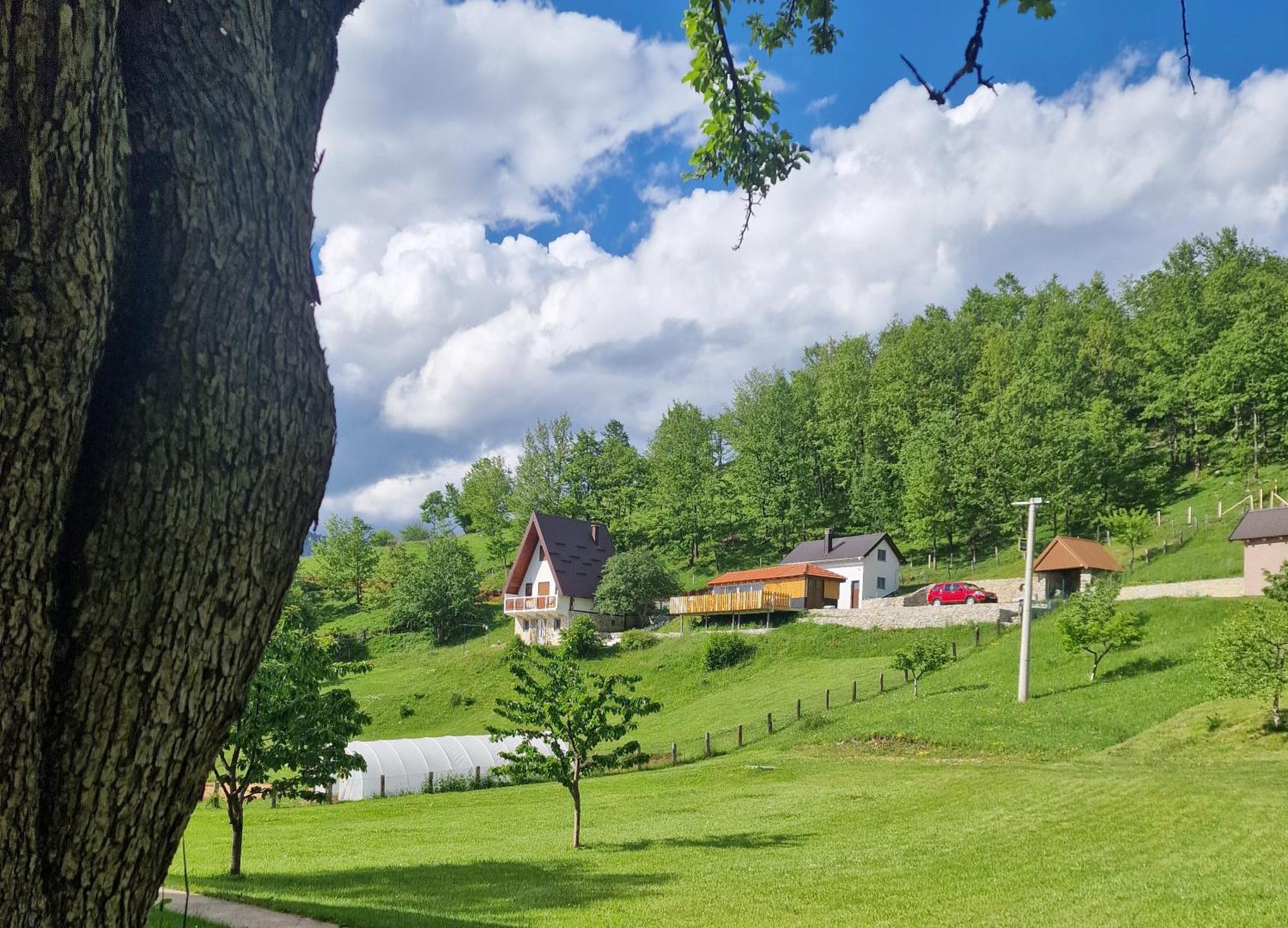 Apartmani Vukomanovo Mojkovac Εξωτερικό φωτογραφία